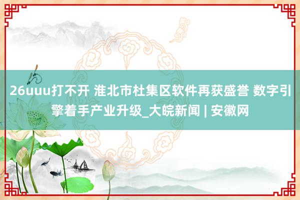 26uuu打不开 淮北市杜集区软件再获盛誉 数字引擎着手产业升级_大皖新闻 | 安徽网