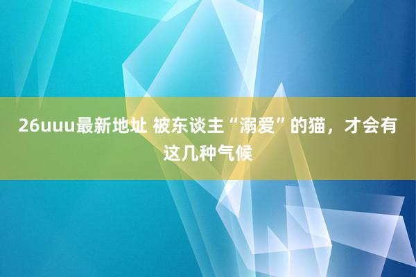 26uuu最新地址 被东谈主“溺爱”的猫，才会有这几种气候