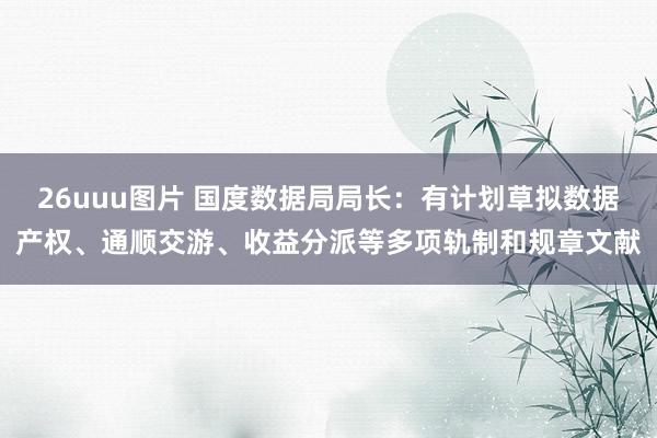 26uuu图片 国度数据局局长：有计划草拟数据产权、通顺交游、收益分派等多项轨制和规章文献