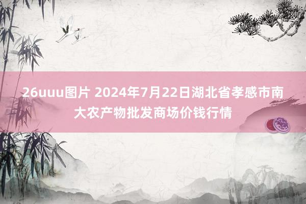 26uuu图片 2024年7月22日湖北省孝感市南大农产物批发商场价钱行情