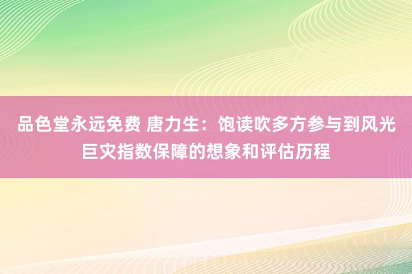 品色堂永远免费 唐力生：饱读吹多方参与到风光巨灾指数保障的想象和评估历程