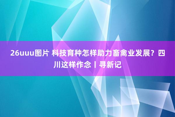 26uuu图片 科技育种怎样助力畜禽业发展？四川这样作念丨寻新记