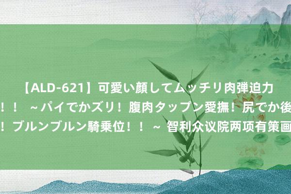 【ALD-621】可愛い顔してムッチリ肉弾迫力ダイナマイト敏感ボディ！！ ～パイでかズリ！腹肉タップン愛撫！尻でか後背位！ブルンブルン騎乗位！！～ 智利众议院两项有策画显现政界对锂业公私衔尾之不对