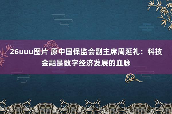 26uuu图片 原中国保监会副主席周延礼：科技金融是数字经济发展的血脉