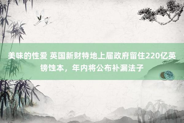 美味的性爱 英国新财特地上届政府留住220亿英镑蚀本，年内将公布补漏法子