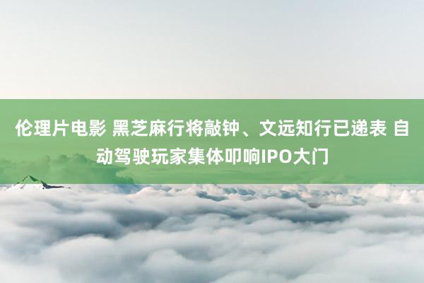 伦理片电影 黑芝麻行将敲钟、文远知行已递表 自动驾驶玩家集体叩响IPO大门