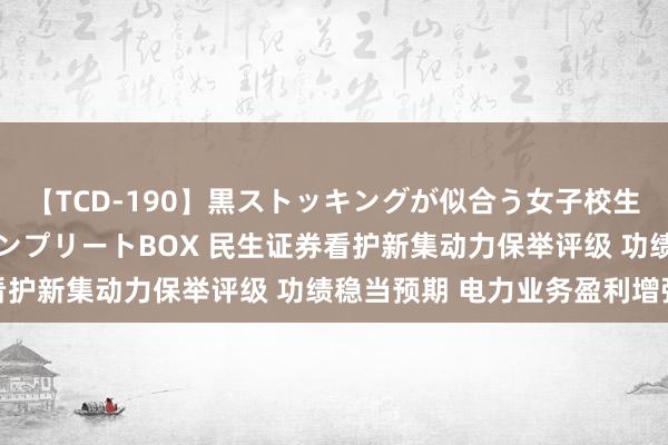 【TCD-190】黒ストッキングが似合う女子校生は美脚ニューハーフ コンプリートBOX 民生证券看护新集动力保举评级 功绩稳当预期 电力业务盈利增强