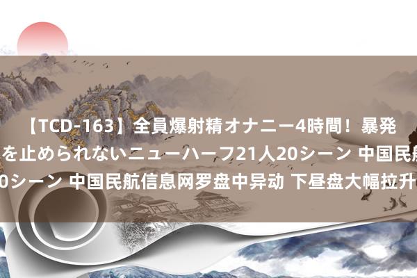 【TCD-163】全員爆射精オナニー4時間！暴発寸前！！ペニクリの疼きを止められないニューハーフ21人20シーン 中国民航信息网罗盘中异动 下昼盘大幅拉升5.08%