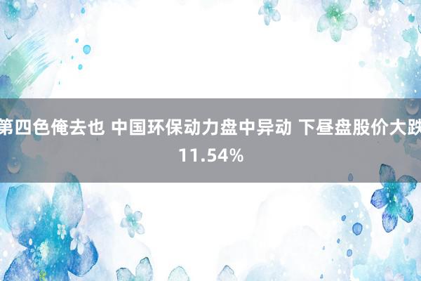 第四色俺去也 中国环保动力盘中异动 下昼盘股价大跌11.54%