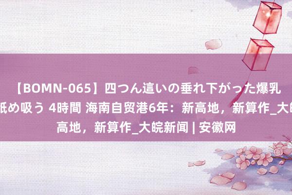 【BOMN-065】四つん這いの垂れ下がった爆乳を下から揉み舐め吸う 4時間 海南自贸港6年：新高地，新算作_大皖新闻 | 安徽网