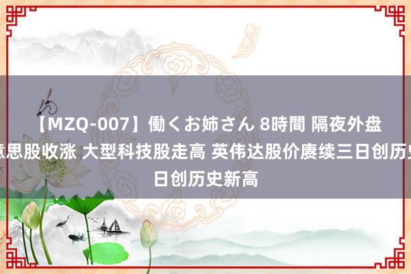 【MZQ-007】働くお姉さん 8時間 隔夜外盘：好意思股收涨 大型科技股走高 英伟达股价赓续三日创历史新高