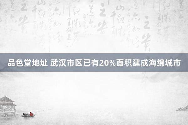 品色堂地址 武汉市区已有20%面积建成海绵城市