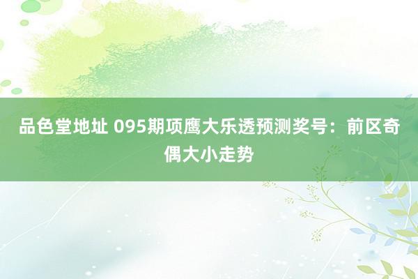 品色堂地址 095期项鹰大乐透预测奖号：前区奇偶大小走势