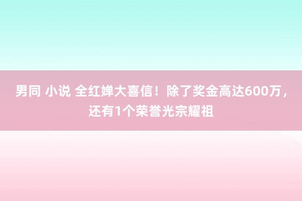 男同 小说 全红婵大喜信！除了奖金高达600万，还有1个荣誉光宗耀祖