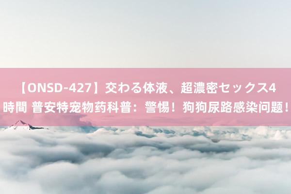 【ONSD-427】交わる体液、超濃密セックス4時間 普安特宠物药科普：警惕！狗狗尿路感染问题！