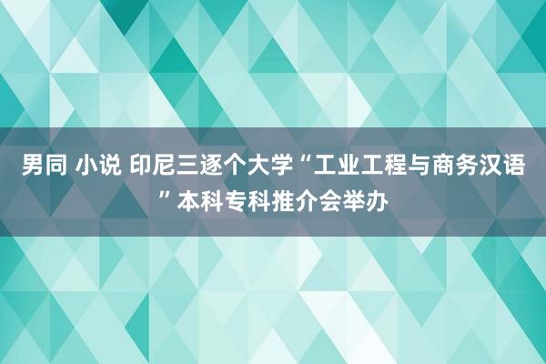 男同 小说 印尼三逐个大学“工业工程与商务汉语”本科专科推介会举办