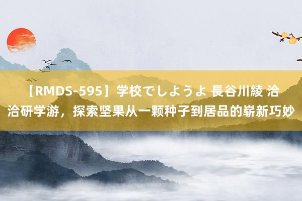 【RMDS-595】学校でしようよ 長谷川綾 洽洽研学游，探索坚果从一颗种子到居品的崭新巧妙